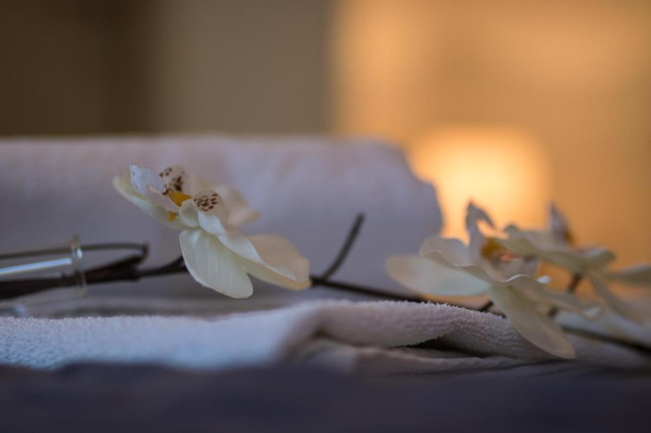 Apartments Villa Carica B&B ミミツェ エクステリア 写真